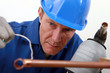 close-up of blue collar