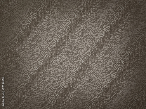 Photo: Alligator skin texture or background Alligator skin texture or background