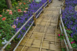 Flower Asia CNX