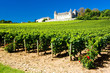 Chateau de Rully with vineyards, Burgundy, France