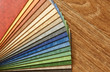 The samples of collection linoleum