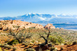 Arches National Park with La Sal Mountains, Utah, USA