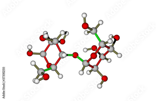 Illustration: The molecule of lactose (milk sugar) The molecule of lactose (milk sugar)