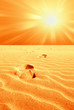 footprint in the desert with hot sun footprint in the desert with hot sun