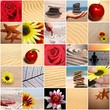 MOSAICO TIPO ZEN, TEXTURAS, YOGA, PLAYA, FLORES MOSAICO TIPO ZEN, TEXTURAS, YOGA, PLAYA, FLORES