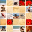 MOSAICO TIPO ZEN, TEXTURAS DE ARENA Y GERBERAS ROJAS MOSAICO TIPO ZEN, TEXTURAS DE ARENA Y GERBERAS ROJAS