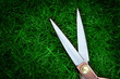 Foto: scissors green grass scissors green grass