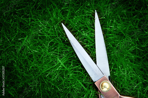 Foto: scissors green grass scissors green grass