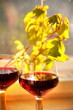 Photo: Closeup of red wine and leaves. Closeup of red wine and leaves.