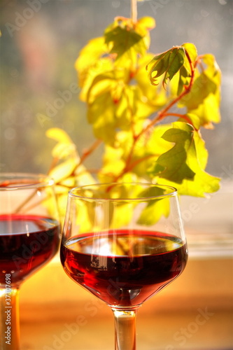 Photo: Closeup of red wine and leaves. Closeup of red wine and leaves.