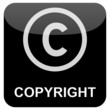 Internet Button - Copyright