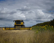 Combine and Sunflowers