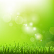 Green Background With Blur And Grass Green Background With Blur And Grass