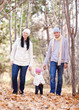 family in the park