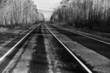 Road
