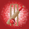 cricket set on red background