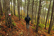 Persona sul sentiero in un bosco