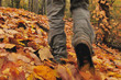 Camminando nel bosco in autunno