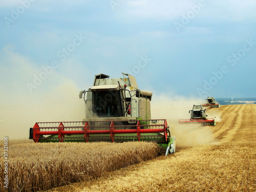 Photo: Harvester Harvester