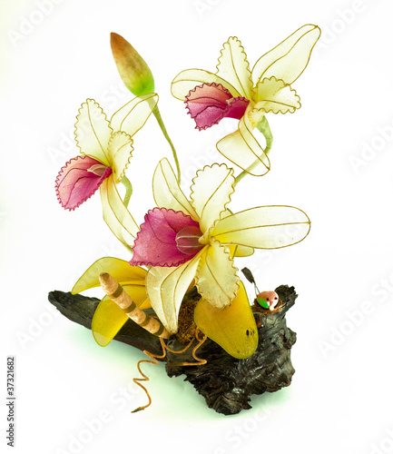 Photo: flower flower