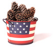American