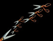 scissors concept black