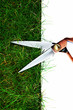 grass cutting