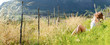 panoramic freedom girl