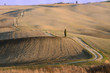 Crete Senesi