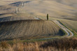 Crete Senesi