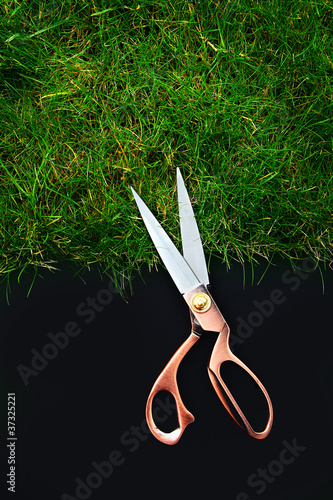 Photo: grass cut grass cut