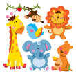 Cute Animals Collection