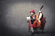Musician
