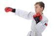 Young boy training karate. Young boy training karate.