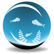 fishbowl vector