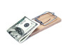 dollar in a mousetrap dollar in a mousetrap