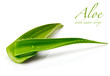 aloe leaf