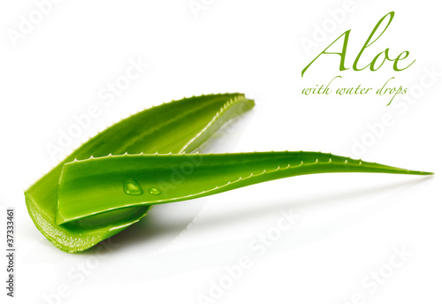 Photo: aloe leaf aloe leaf