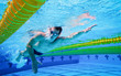 Foto: Swimmer in the Pool Swimmer in the Pool