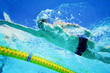 Swimmer in the Pool