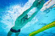 Swimmer in the Pool