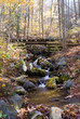 Autumn Creek