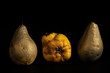 quince and pears isolated on black background