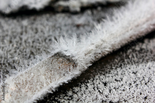 Photo: Hoarfrost crystals. Hoarfrost crystals.