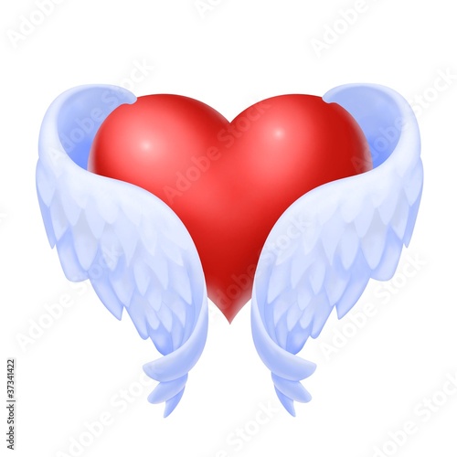 Illustration: cuore alato cuore alato
