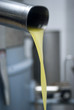 Fresh virgin olive oil