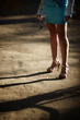 streetwalker