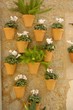 Blumenschmuck