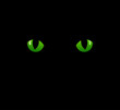 Cat eyes