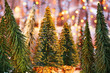 Christmas tree forest